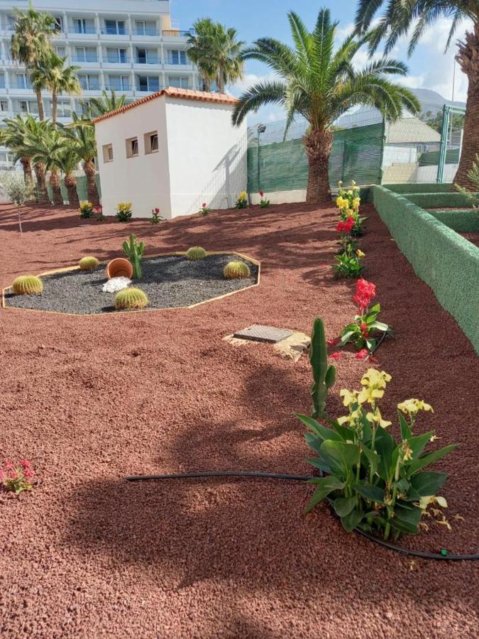Apartamento Vacacional Playa Playa de las Americas  Ngoại thất bức ảnh